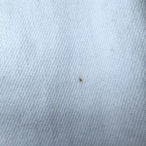 American Eagle Womens Size 14 White Jeans Stretch Straight Leg Denim Casual thumbnail 11