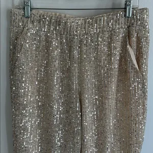 Loft Sequin Joggers Champagne thumbnail 6