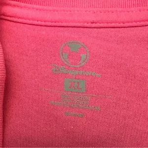 Disney Winnie The Pooh Bear Short Sleeve Tee XL thumbnail 4