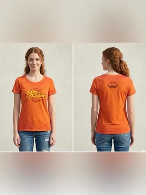 Harley-Davidson Orange Graphic Logo Short Sleeve Tee 854 thumbnail 2