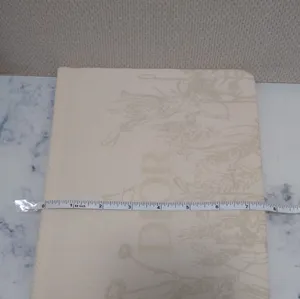 Christian Dior Cream Spring Flower Clutch Bag Pouch Limited Edition New In Box thumbnail 6