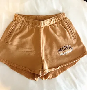 PacSun Shorts thumbnail 1