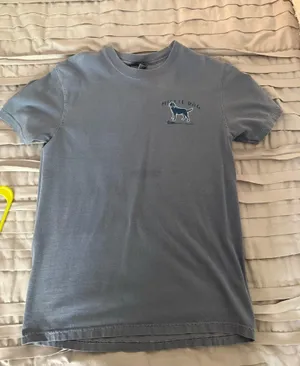 Comfort Colors T-Shirt thumbnail 1