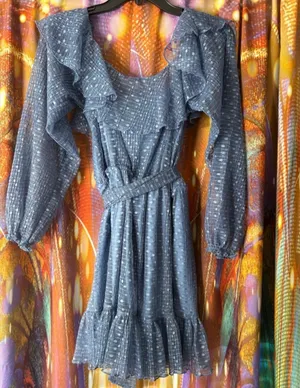 Tularosa Blue Dress with White Polka Dots & Ruffles ✨ thumbnail 5