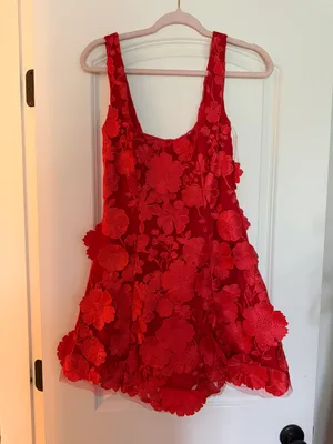 Showpo Dress thumbnail 2