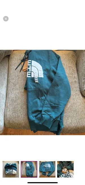 The north face hoodie thumbnail 4