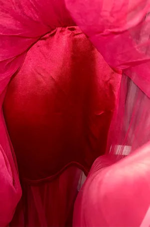 Boutique Red satin and mesh maxi prom dress thumbnail 11