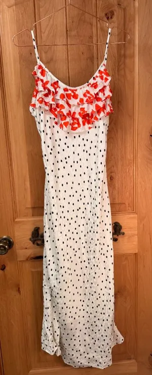 Rixo Silky Flowy Polka Dot Ruffle Leopard Shimmer Slip Dress thumbnail 1