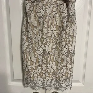 Delicate Darling Beige and Ivory Lace Bodycon Dress thumbnail 5