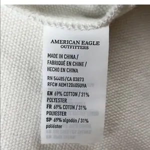 ✨HP✨American Eagle Outfitter AEO Metallic Holographic Canvas Tote Bag✨ thumbnail 4