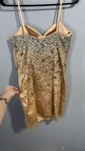 Mini Homecoming Dress Tan Size 2 thumbnail 5