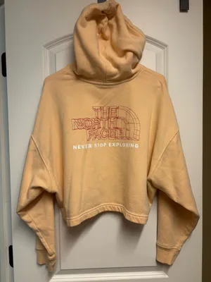 North Face Cropped Hoodie thumbnail 1