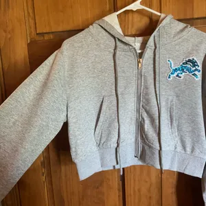 Detroit Lions sweatshirt! NFL gray sequin bedazzled logo hoodie size small! thumbnail 6