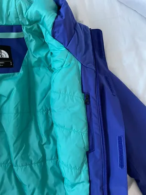 The North Face Ski Jacket thumbnail 4