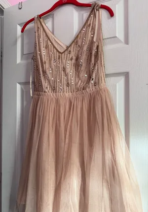 Adrianna Papell Dress thumbnail 1