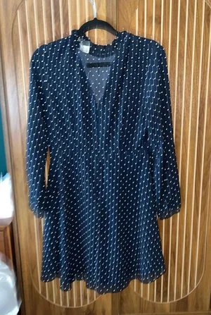 ZARA Polka Dot Dress thumbnail 1
