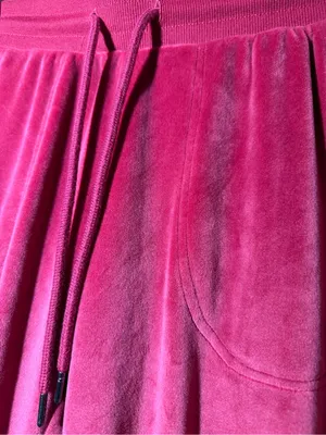 Women’s Burgundy Velour Jogger Pants size XS thumbnail 5