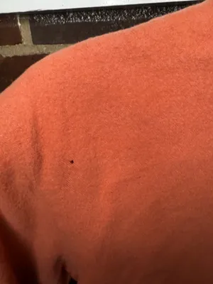 Vintage Hunt Club Cropped Coral Cardigan thumbnail 5