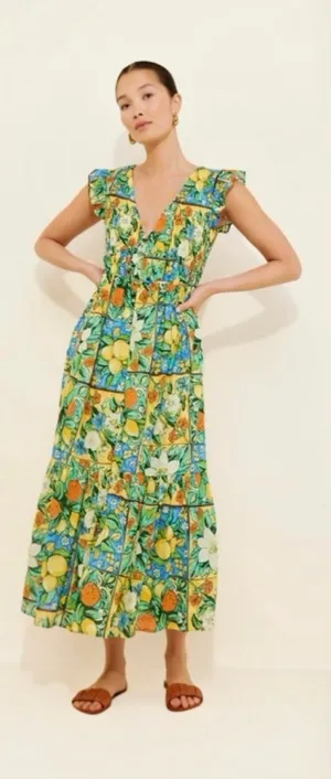 Anthropologie Peregrine Flutter Sleeve Maxi Dress In Fruit Motif XS thumbnail 1
