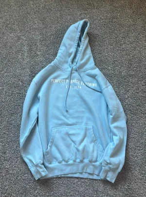 Light blue, perfect purpose, clothing custom Christian hoodie thumbnail 1