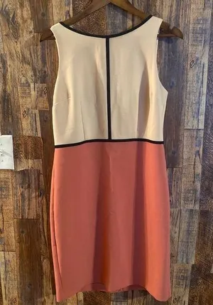 Ann Taylor Loft color block dress (Pink) size 8 thumbnail 1