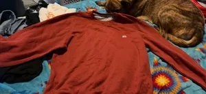 Men’s Champion Crewneck thumbnail 1