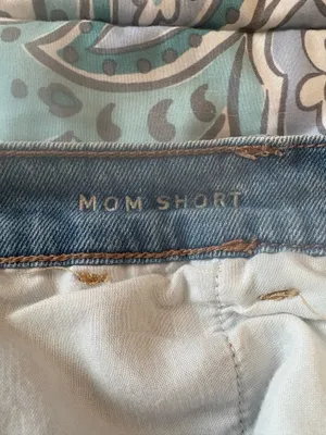 American Eagle Mom Shorts  thumbnail 4