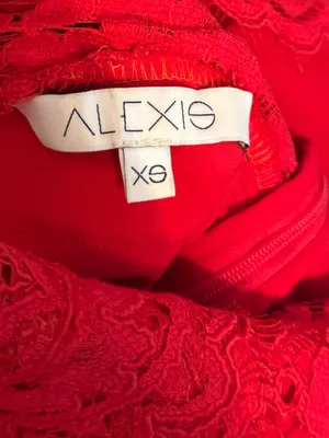 Alexis Full Lace Mini‎ Dress thumbnail 4
