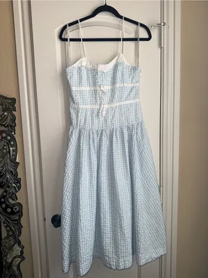 FOR LOVE and LEMONS georgia midi dress in blue gingham thumbnail 4