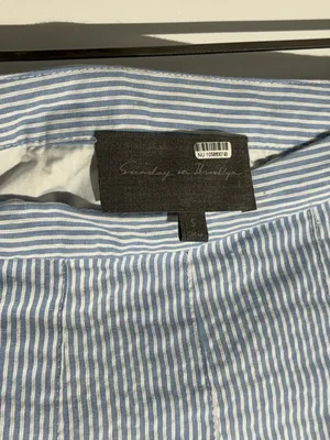Sunday in Brooklyn Blue &White Striped Skater Skirt with White Underlayer Cotton thumbnail 10