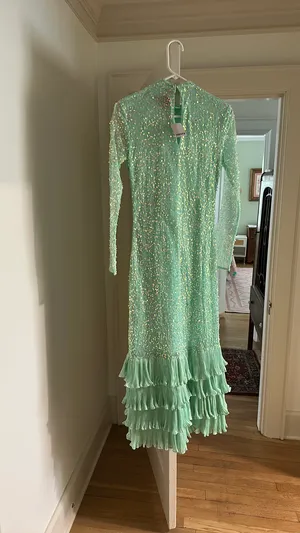Anthropologie Sequin Maxi Dress thumbnail 3