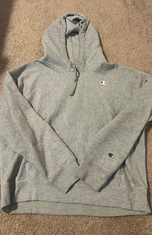Champion Gray  Hoodie thumbnail 1
