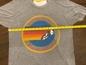 Aviator Nation Gray T-Shirt Mill Valley CA Men’s Graphic Tee-Size Medium thumbnail 6