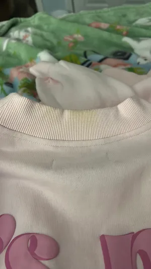 Southern Shirt Sweatshirt thumbnail 4