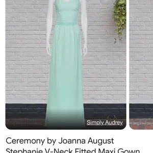 Joanna August Ceremony large fitted bodice sash full skirt bridesmaid open back thumbnail 11