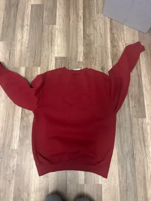 University of South Champion Carolina Sweatshirt thumbnail 2