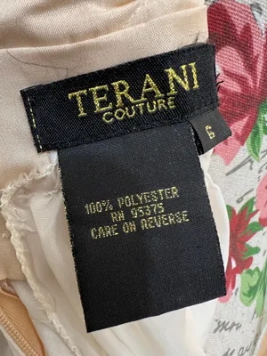 Terani Couture White Maxi Gown with Silver Embellished Bodice size 6 thumbnail 5