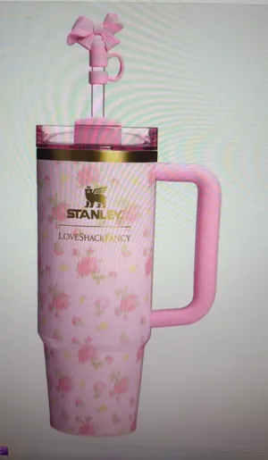 Stanley 1913 x loveShackFancy thumbnail 1