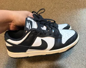 Nike Dunks thumbnail 1