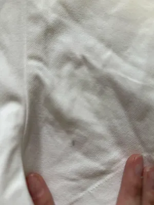 White Shorts Wild Fable thumbnail 4