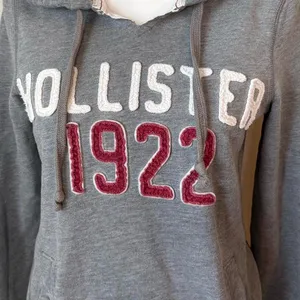 Y2K Hollister Hoodie thumbnail 3