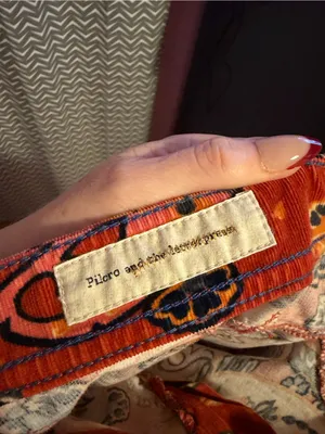 NWOT Anthropologie / Pilcro and Letterpress | Corduroy Paisley Skinny Pants, 29 thumbnail 6