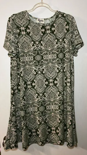 Show Me Your Mumu Dress thumbnail 1