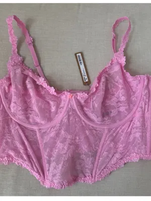 Skims Stretch Lace (G14) Corset Nwt Cotton Candy Pink Xl thumbnail 1