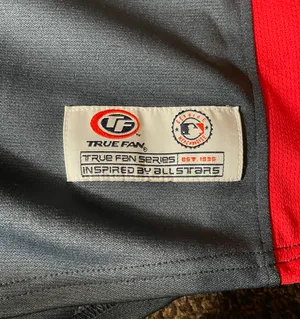 True Fan Minnesota Twins Jersey thumbnail 2