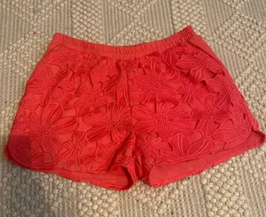 Francesca's Lace Shorts thumbnail 1
