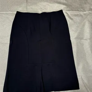 Ann Taylor Blue Knee-Length Pencil Skirt thumbnail 1