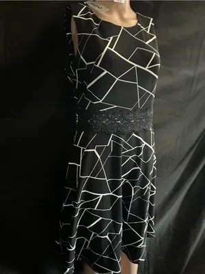 Owin Women’s Black & White Geometric Fit-&-Flare Dress Floral Lace Waist LG NWT thumbnail 4