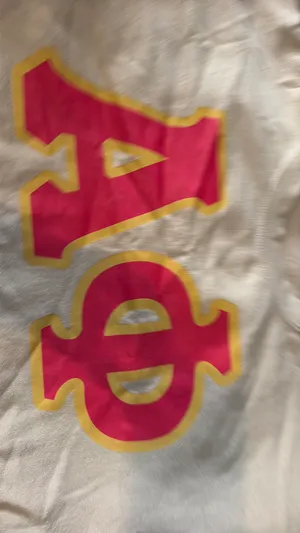 Alpha Phi Gildan Sweatshirt Crewneck thumbnail 2