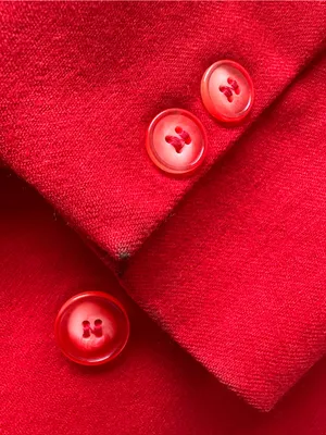 Donna Liara Red Wool Blazer Jacket Double Breasted Italy Size 11/12 Vintage thumbnail 9